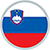 ĐTQG Slovenia