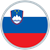 ĐTQG Slovenia